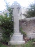 image of grave number 50041